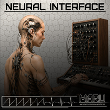 Neural Interface