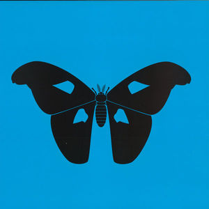 1NC1N - The Butterfly Effect LP