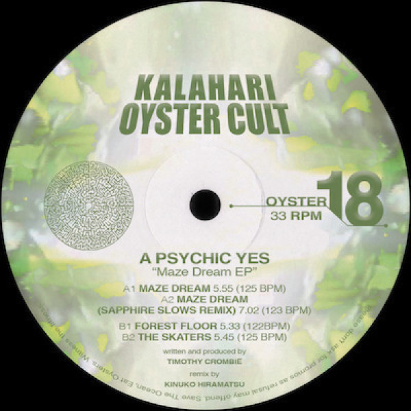 A PSYCHIC YES - MAZE DREAM EP