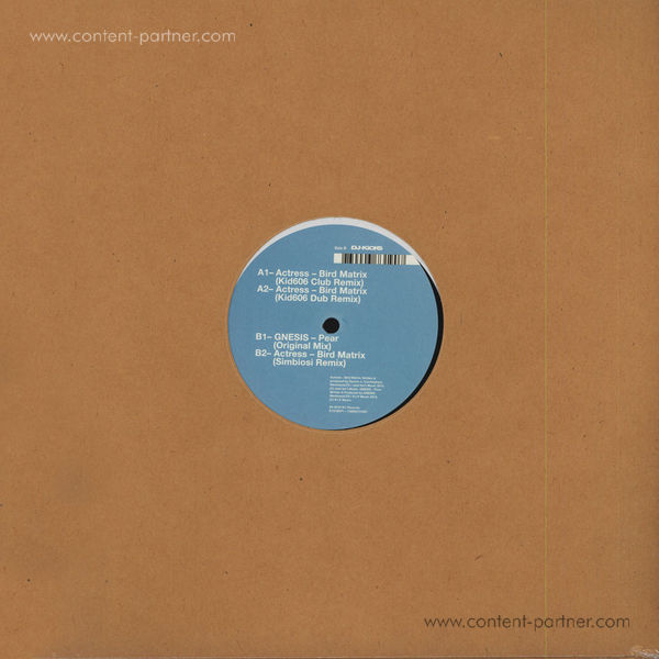 Actress - Bird Matrix (Remixes)
