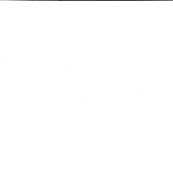 Adam Feingold - Rapcha (Back)