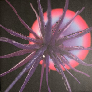 Agonis - Neutropia (Back)