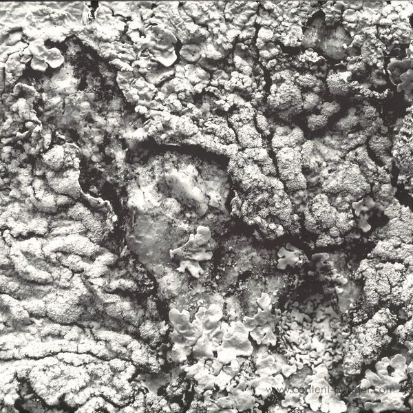 Aleks - Future Dialect EP