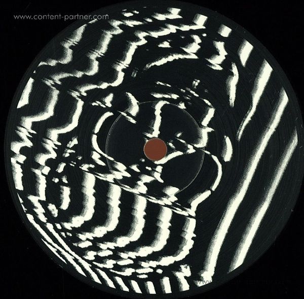 Alessandro Adriani - Crow / White Swan