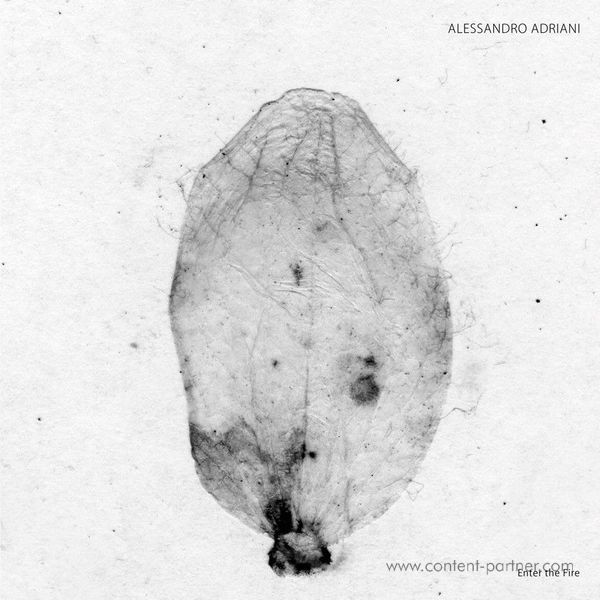 Alessandro Adriani - Enter The Fire