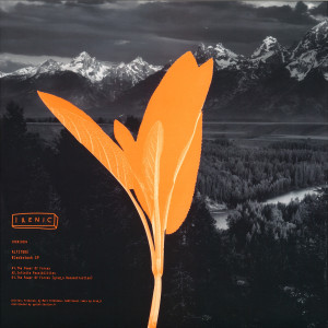 Altitude - Blackstock EP (Back)