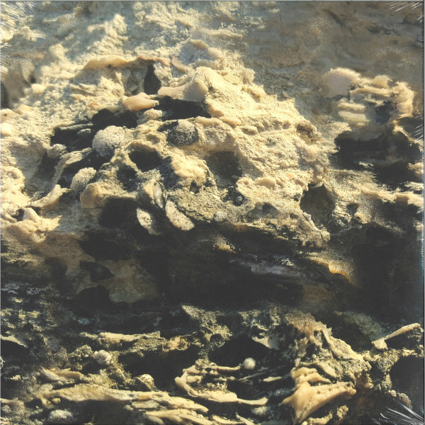 Andrea - Ritorno