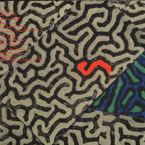 Animal Collective - Tangerine Reef (2LP+MP3) (USED/OPEN COPY) (Back)