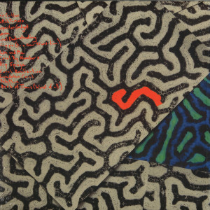 Animal Collective - Tangerine Reef (2LP+MP3) (Back)