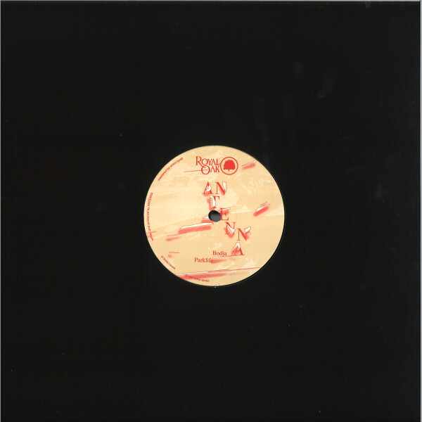 Antenna - Timbales (Back)