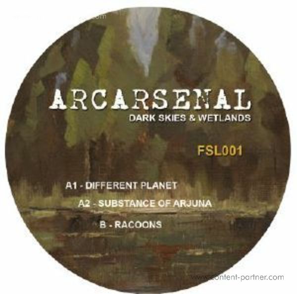 Arcarsenal - Dark Skies & Wetlands