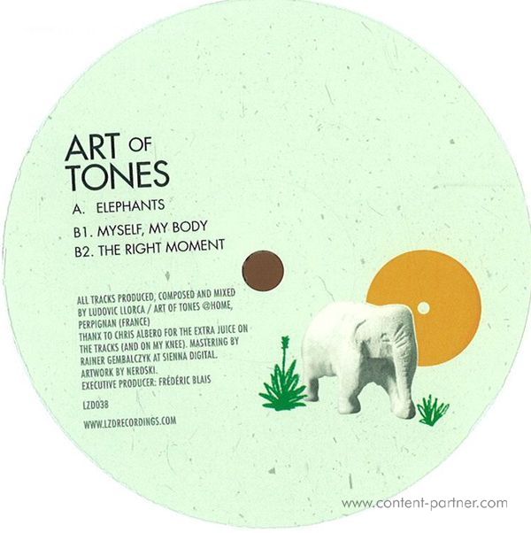 Art Of Tones - Elephants & Flies
