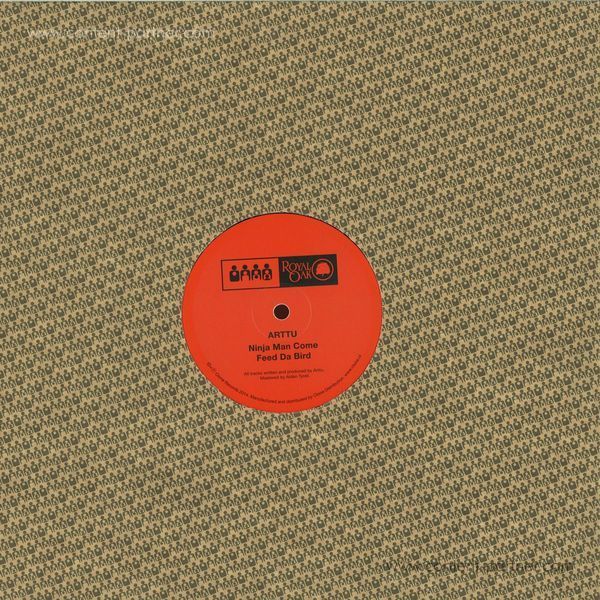 Arttu - Evvy Steps (Back)