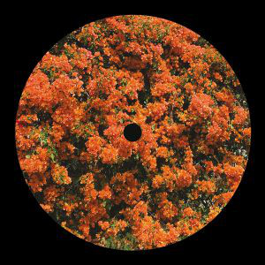 Aschof Mal - Came Home From Work And Your House Was Missing (Back)