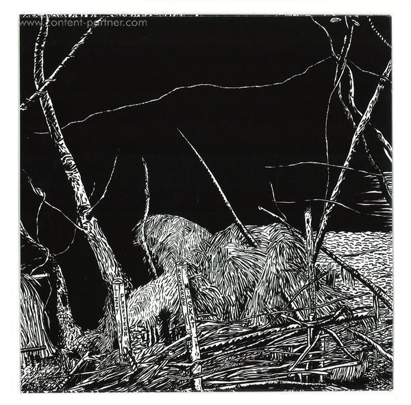 Assel - Polly (Back)