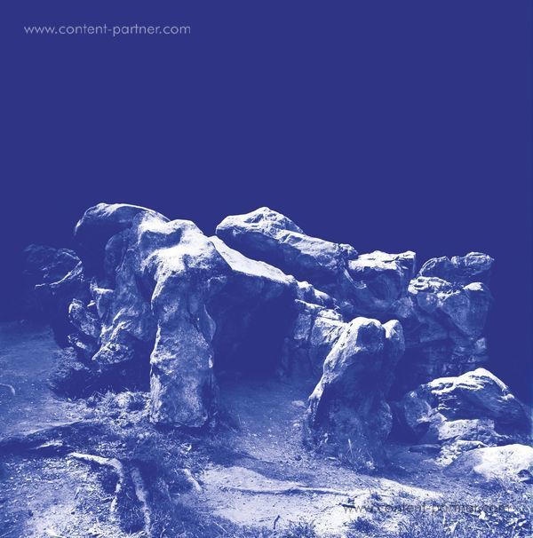 Assel - This Will Not Stand