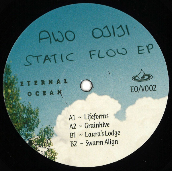Awo Ojiji - Static Flow EP (Back)
