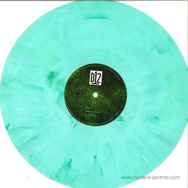 B12 - Brokenunbroken