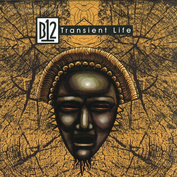B12 - Transient Life (Back)