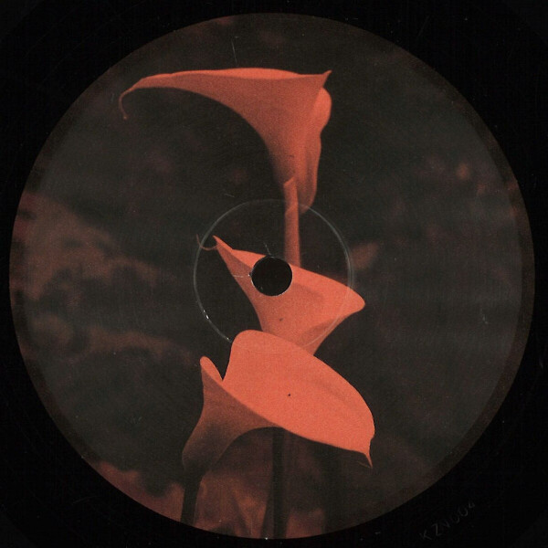 BLNDR - Callopsis