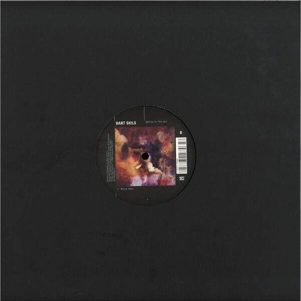 Bart Skils - Settle In The Sun (Back)