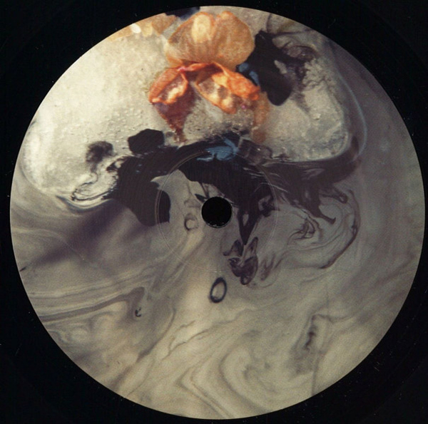 Ben Buitendijk - Alternative Hypothesis EP