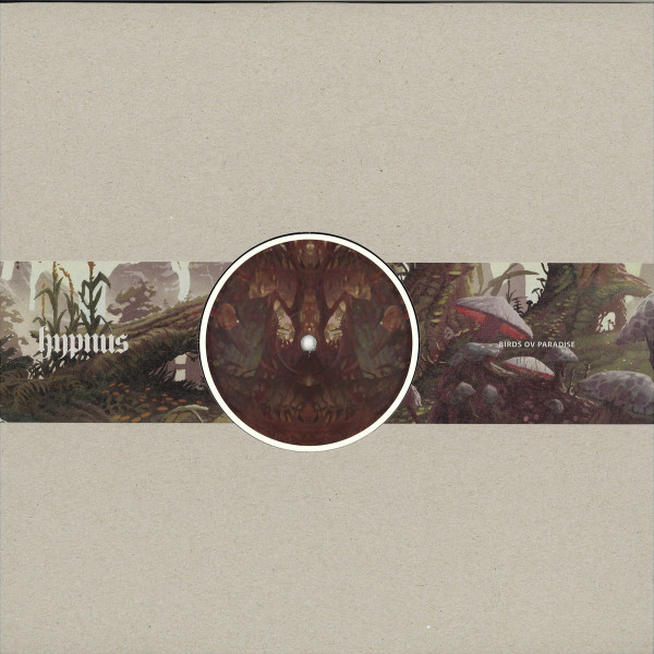 Birds ov Paradise - Bayou