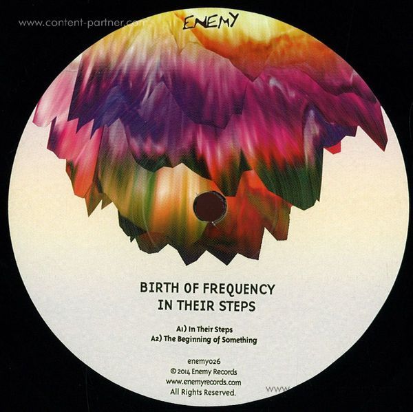 Birth Of Frequency - In Their Steps