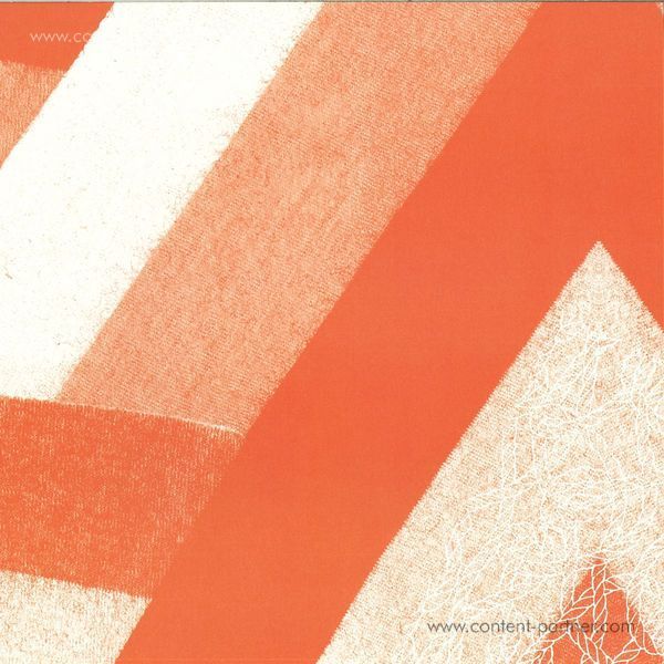 Blawan - Hanging Out The Birds (Back)
