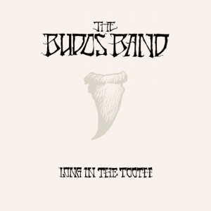 Budos Band - Long In The Tooth (LP + MP3)