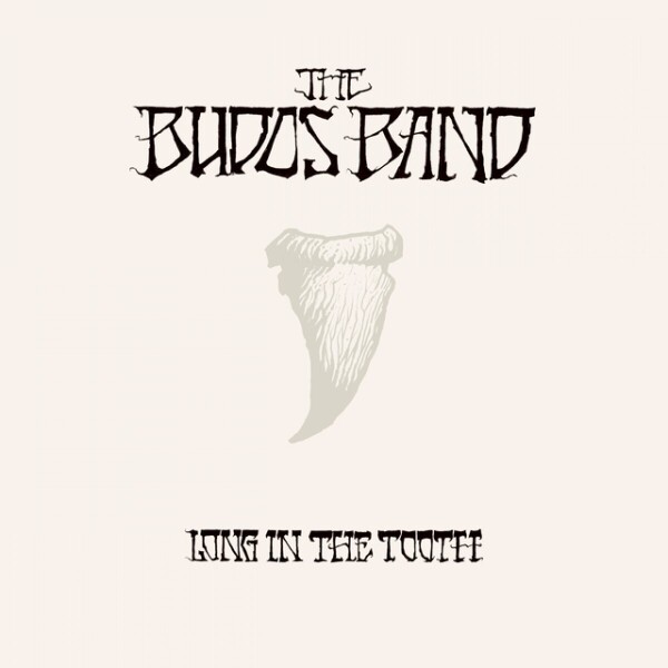 Budos Band - Long In The Tooth (LP + MP3)