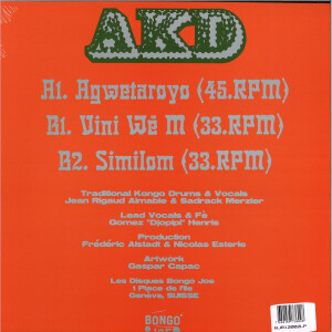 CHOUK BWA & THE ANGSTRÖMERS - AYITI KONGO DUB (Back)