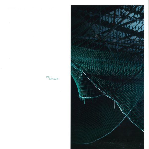 Ca2+ - Gait Cycle Ep