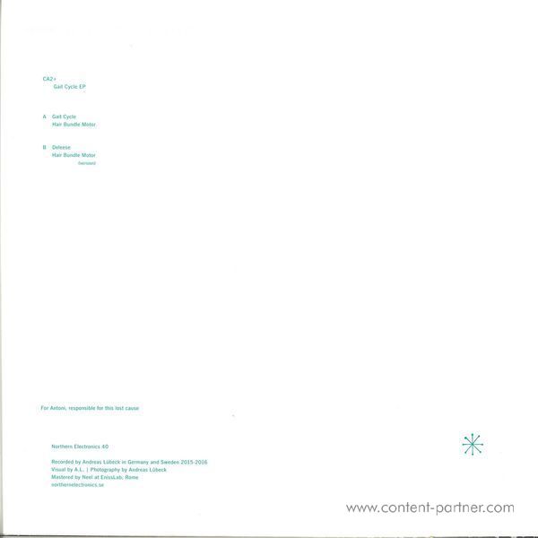 Ca2+ - Gait Cycle Ep (Back)