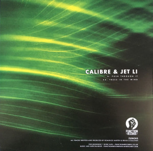 Calibre feat. Jet Li - Push Through It // Trees In The Wind (Back)