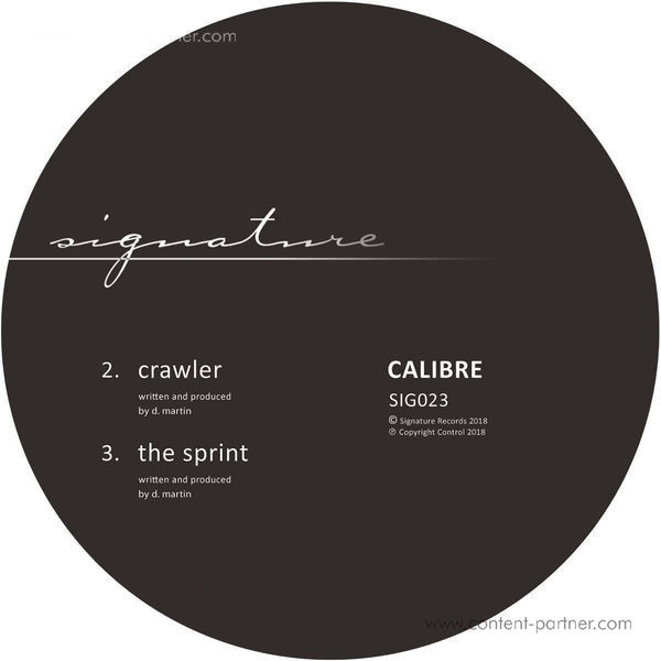 Calibre - Falls To You (Back)