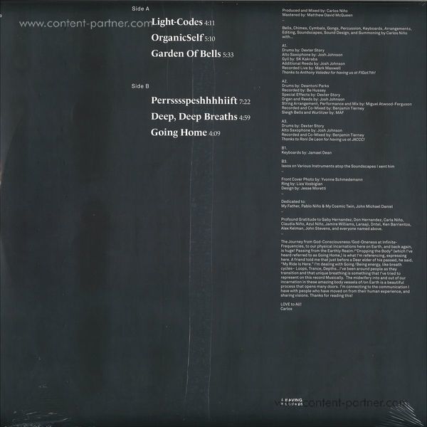Carlos Nino & Friends - Going Home (LP) (Back)