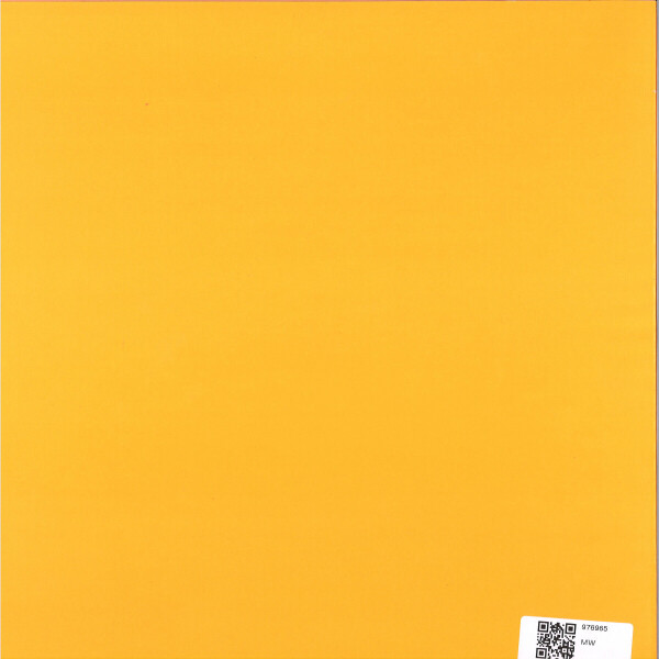 Casbah 73 - In the Dark (12" Vinyl) (Back)