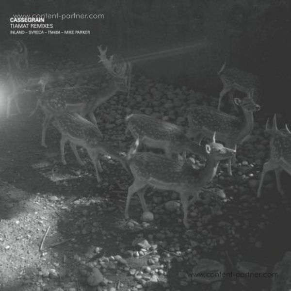 Cassegrain - Tiamat Rmxs (Back)