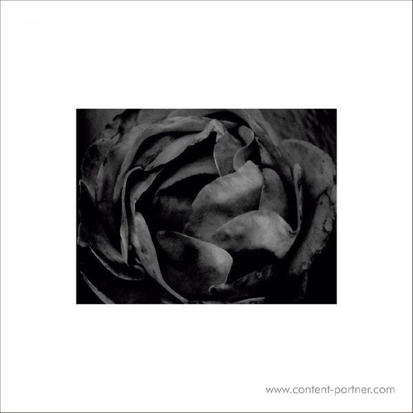 Cio D'Or - All in All (CD)
