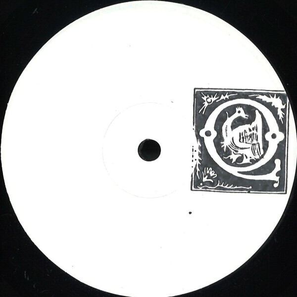 Coralie - Barney's Maze