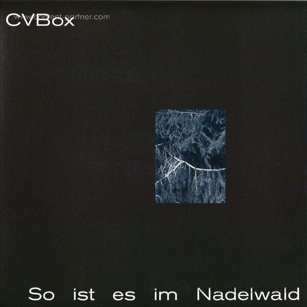 Cvbox - So Ist Es Im Nadelwald