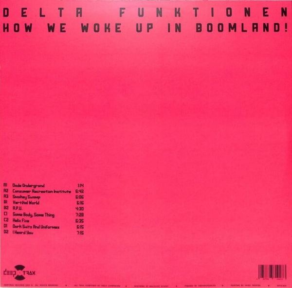 DELTA FUNKTIONEN - HOW WE WOKE UP IN BOOMLAND (Back)