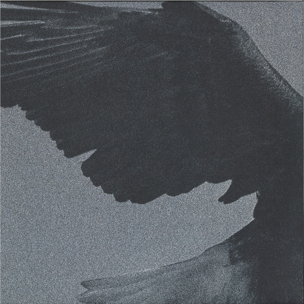 DISSEMBLANCE - OVER THE SAND