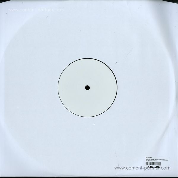 DJ Pierre - What Is House Muzik R. Villalobos Rmxs (Back)