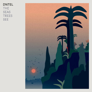 DNTEL - The Seas Trees See (LP)