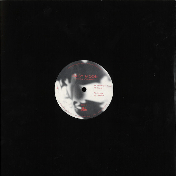 Daisy Moon - Geometry Of Curves (Back)
