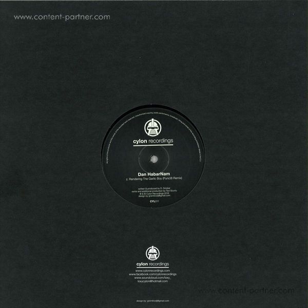 Dan Habarnam - The System / Garlic Boy Remixes (Back)