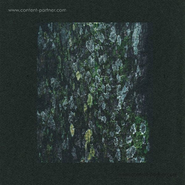 Dark Sky - Kilter / Acaica - Remixes