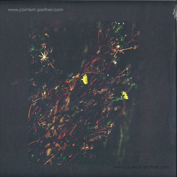Dark Sky - The Passenger / The Walker (Roman Flügel Remix)